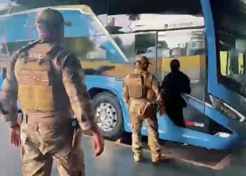 Com cães farejadores, Polícia Civil fiscaliza ônibus e bagagens na Rodoviária de João Pessoa durante feriadão