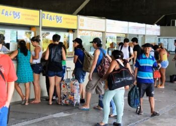 Governador Lucas Ribeiro decreta gratuidade no transporte intermunicipal para eleitores